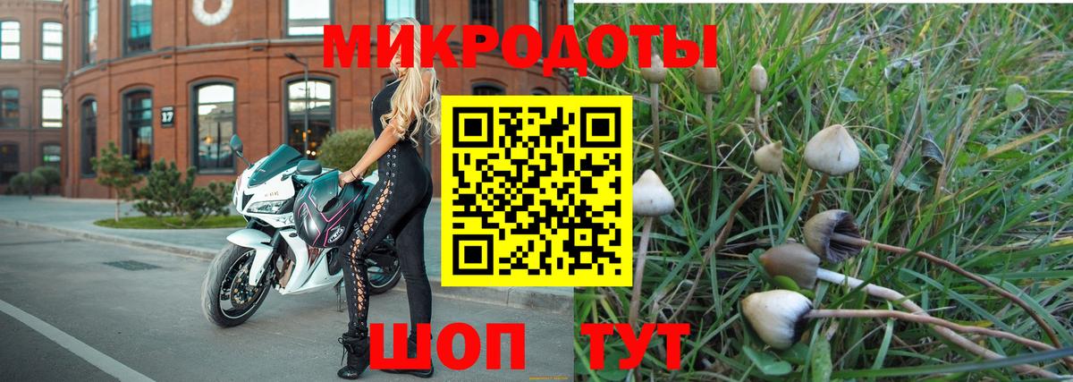 Псилоцибиновые грибы прущие грибы Корсаков