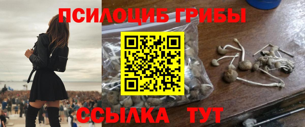 Корсаков  Галлюциногенные грибы мухоморы  Псилоцибиновые грибы Psilocybe  Вход с VPN 